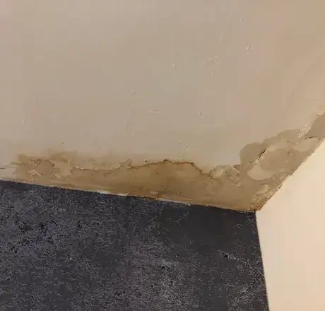 Emergency Leak Repairs